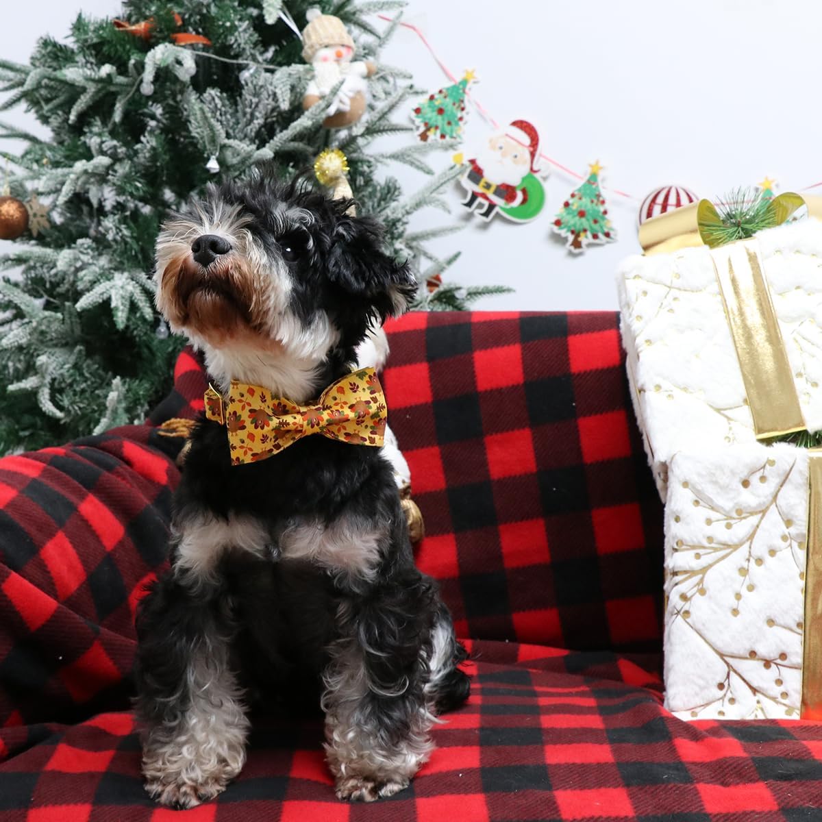 Lionet Paws Thanksgiving Day Dog Collar with Bowtie, Dogs Bowtie Collar with Metal Buckle for Dogs, Adjustable Comfortable Turkey Dog Collars Girl Boy, XS, Neck 8-12 in