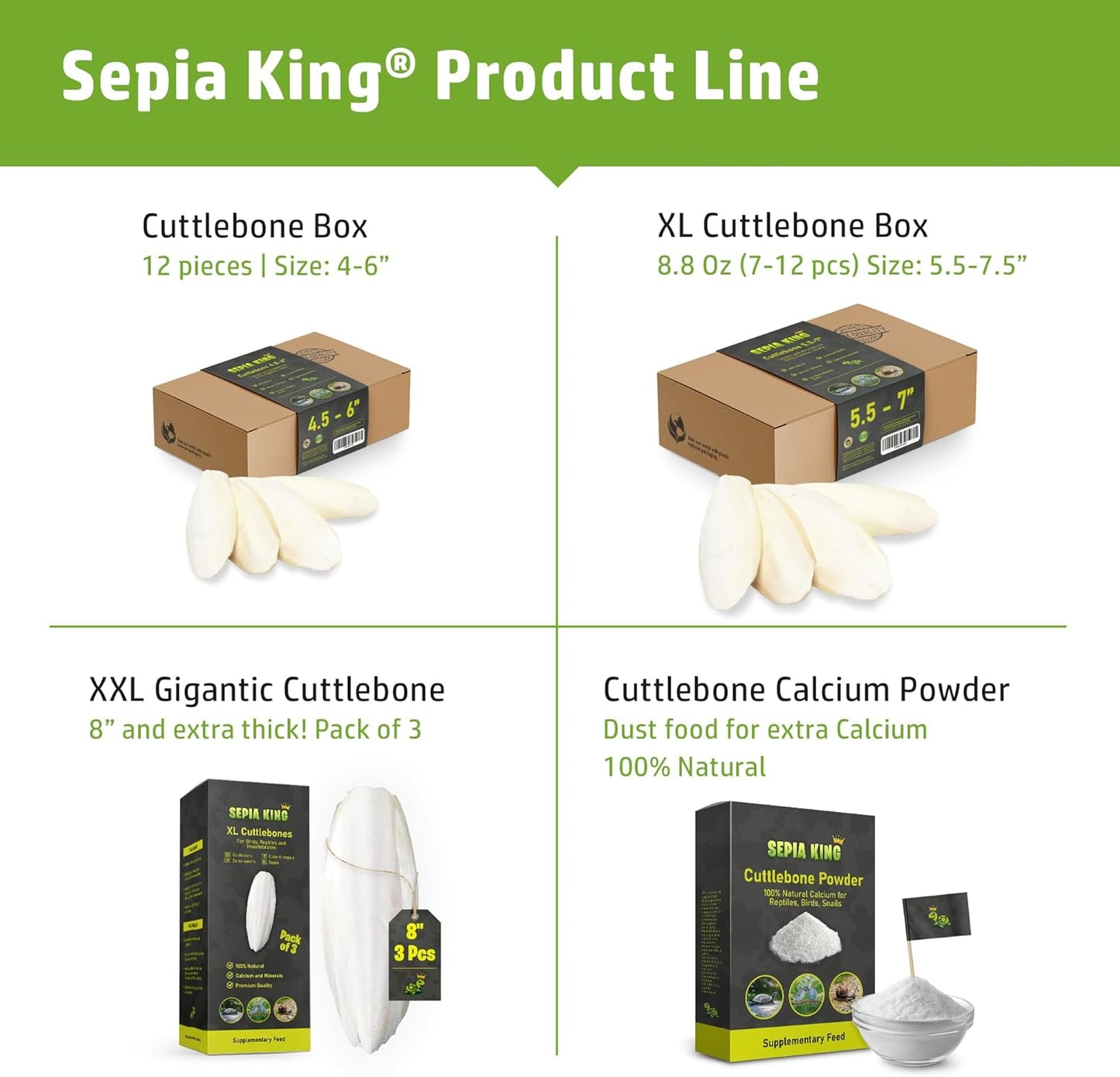 Medium - 100% Natural Calcium Supplement - Premium Cuttlebone Perfect for Birds, Tortoises, Snails, Reptiles - 12 Pack