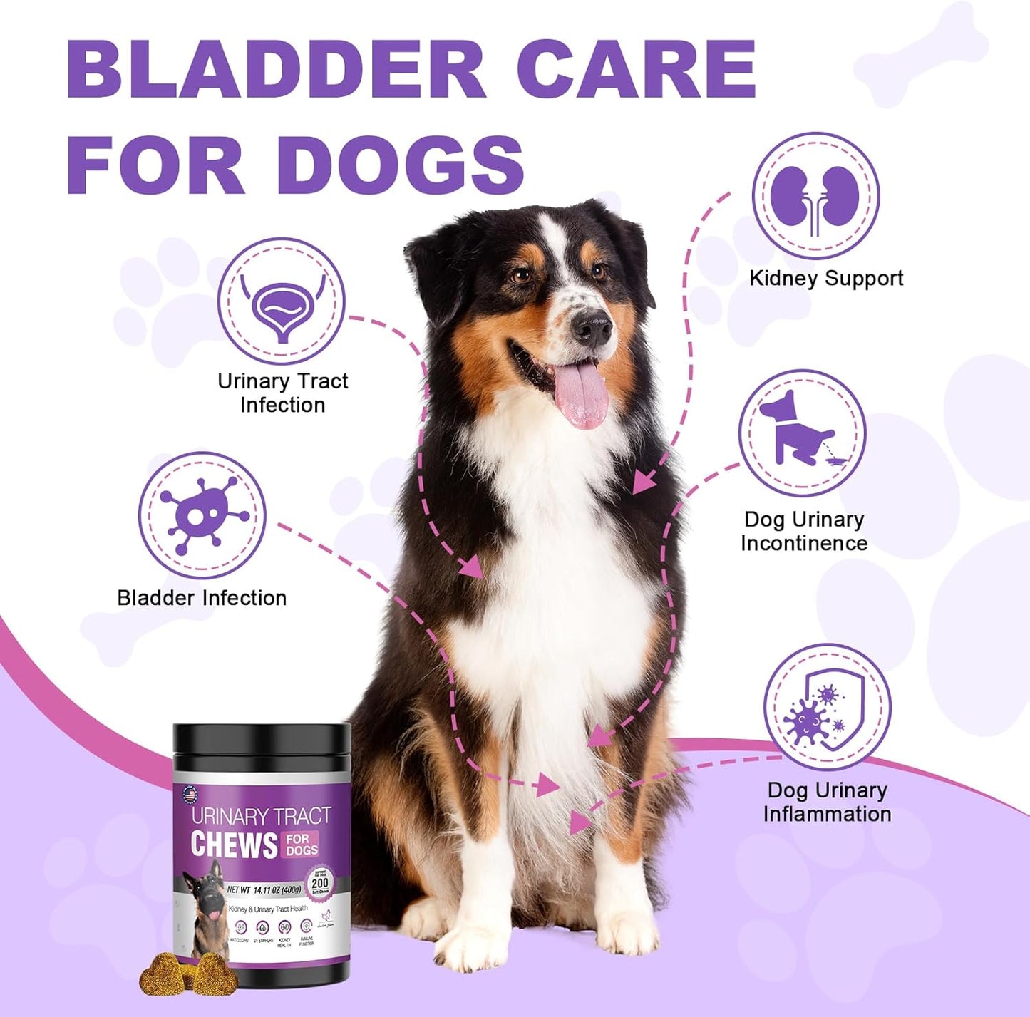 Dog UTI Treatment Cranberry Supplement for Dogs 200 Chews Urinary Tract Medicine Bladder Control Pills Kidney Support Cranberrys Extract Bites Puppy UTI Infection Treats Incontinence Remedy for Dogs