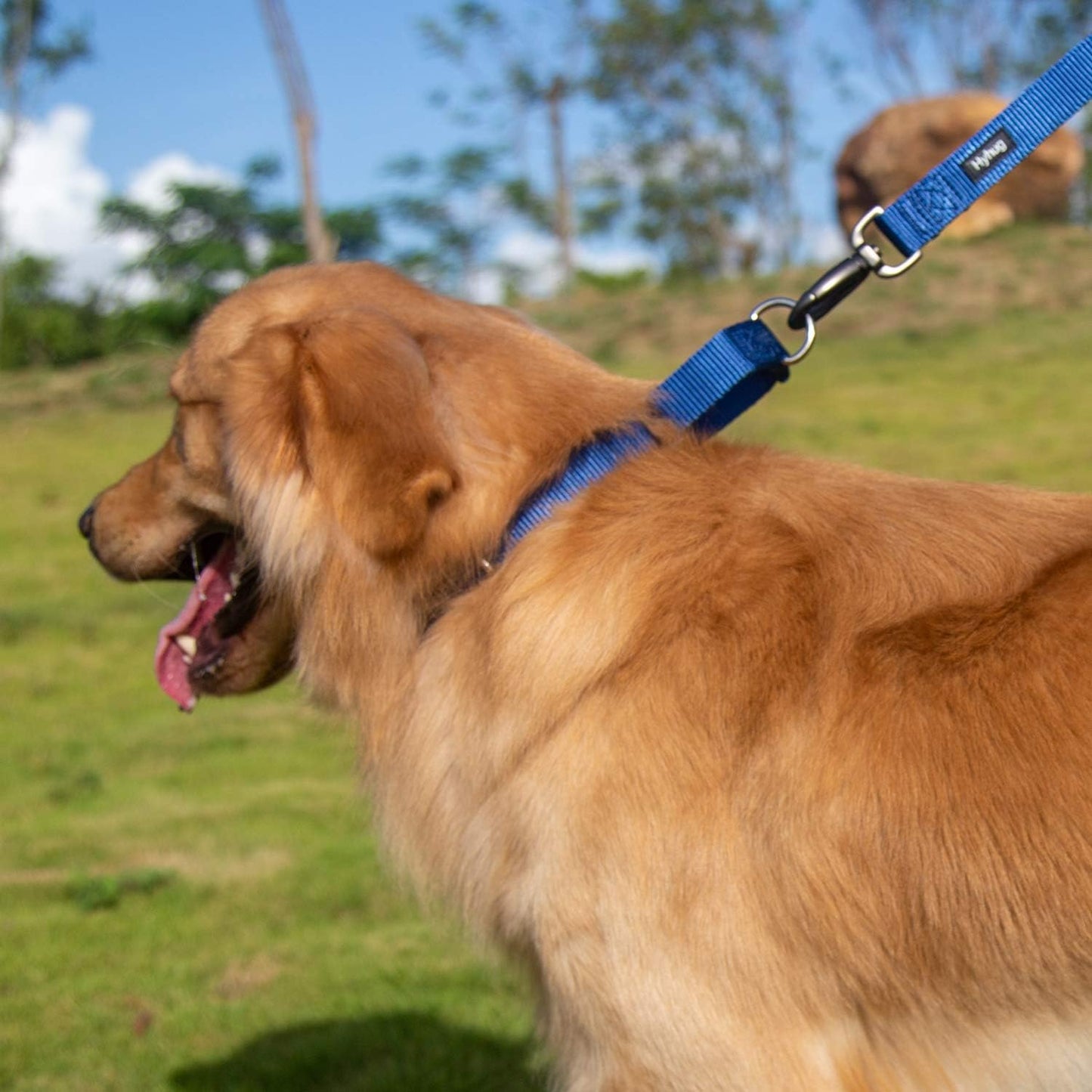 Hyhug Pets Premium Upgraded Heavy Duty Nylon Anti-Escape Martingale Collar for Boy and Girl Dogs Comfy and Safe - Professional Training, Daily Use Walking. (Large, Classic Blue)