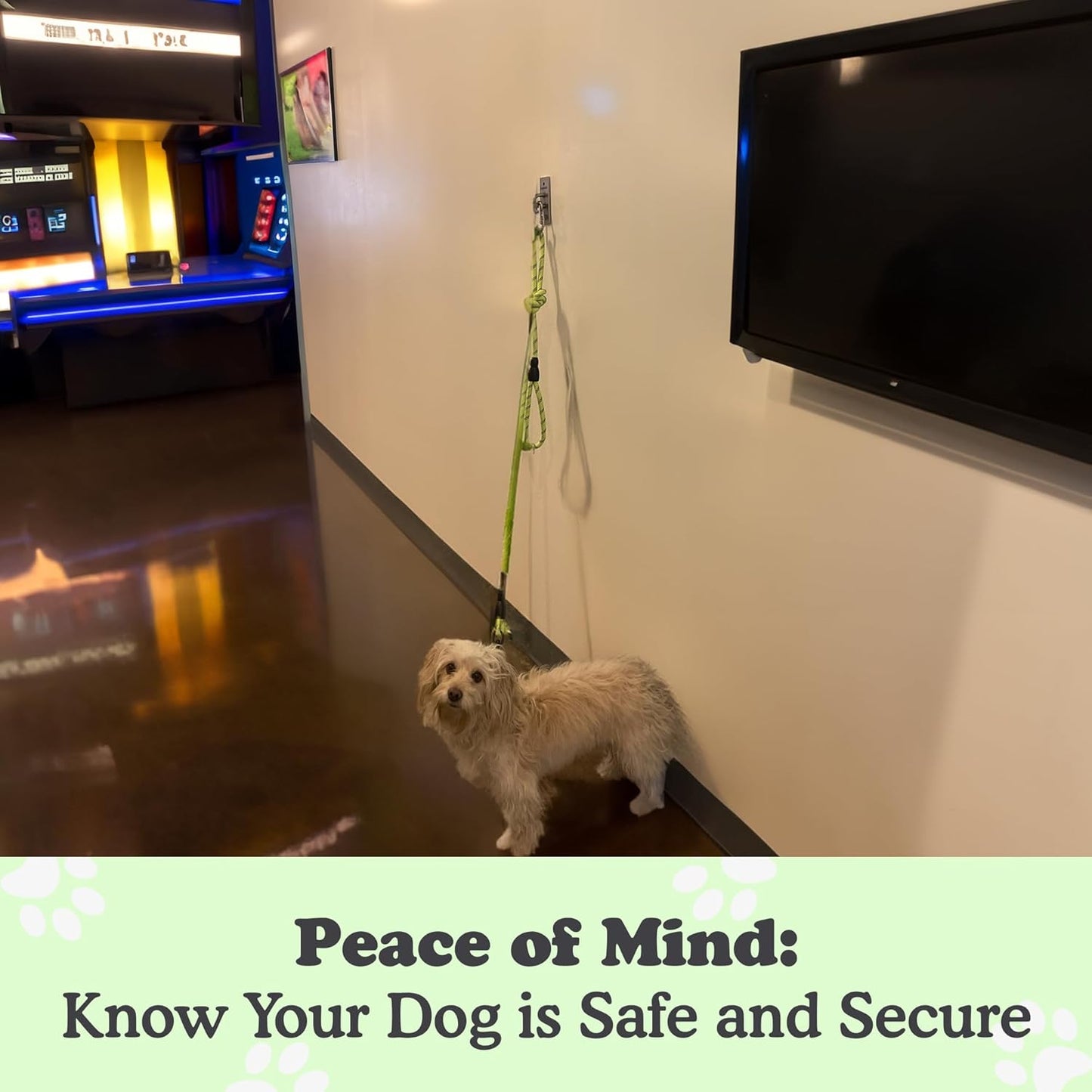 Canine Hitch- Secure Dog Leash Parking Wall Slim Hook with Clip 6 Pack - Tie Out Stainless Steel & ABS Mounting Plate for Strength - Practical Lead Management for Home & Business