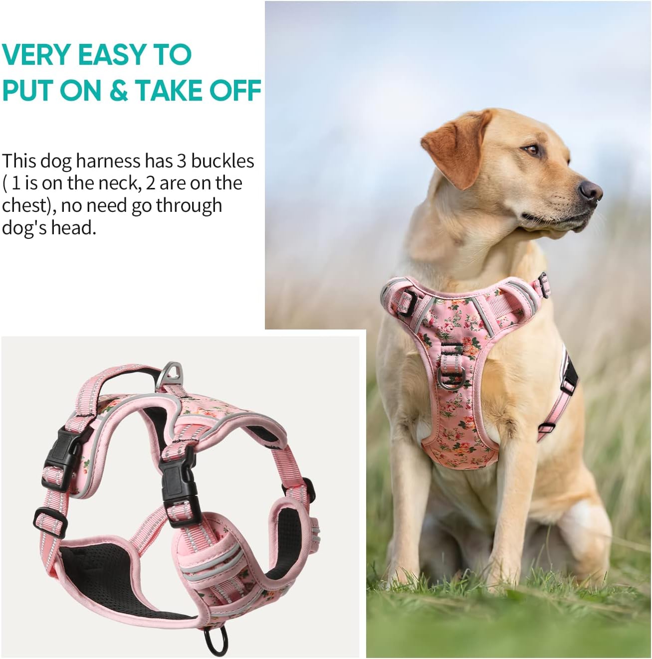 Timos Dog Harness,NO Need Go Over Dogs Head 3 Snap Buckles Pet Harness with 2 Leash Clips,Adjustable Soft Padded No-Pull,Reflective No-ChokeOxford Vest for Small Medium Large Dogs,X-Large (Pack of 1)