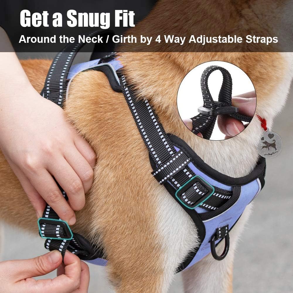 PoyPet No Pull Dog Harness, Reflective Comfortable Vest Harness with Front & Back 2 Leash Attachments and Easy Control Handle Adjustable Soft Padded Pet Vest for Small to Large Dogs (Light Blue,XS)