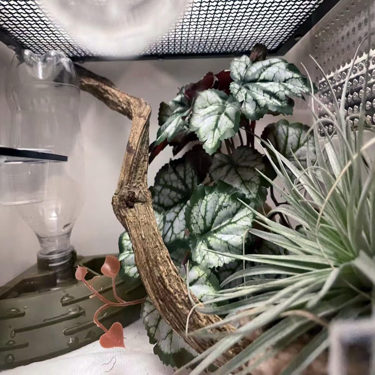 Reptile Plants for Terrarium Decor,Amphibian Habitat Decor,Artificial Plants for Gecko Chameleon Snake Tortoise Tank Accessories with Base (Green heuchera micrantha)