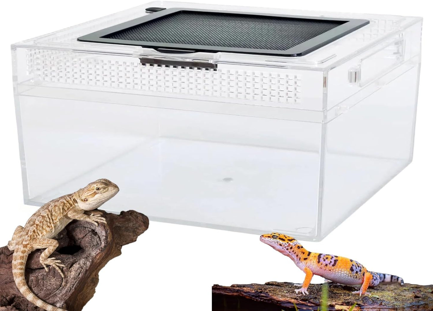 Reptile Terrarium 2025 Upgrade Leopard Gecko Tank Dual use of Water and Land, Stronger, More Durable, More Convenient, Suitable for Gecko, Hermit Crab, Tree Frog, Tarantula,Spiders (Large)
