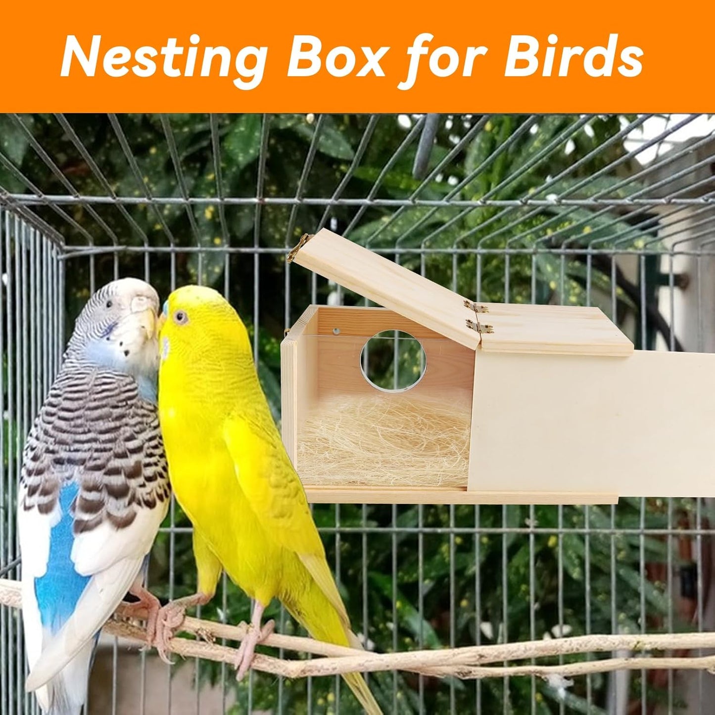 PINVNBY Acrylic Parakeet Nesting Box,Transparent Bird Breeding Box with Detachable Wooden Board Visual Cockatiel House for Budgie Lovebird Conure Parrot (S)