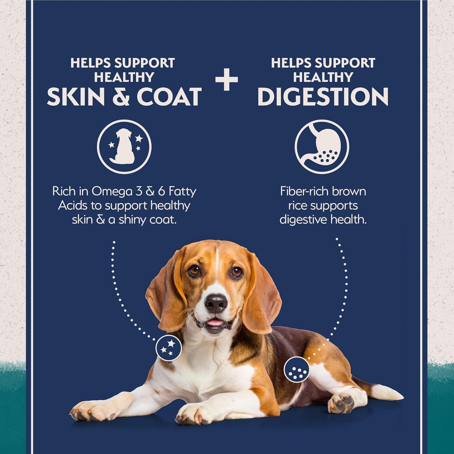 Natural Balance Limited Ingredient Adult Dry Dog Food with Healthy Grains, Chicken & Brown Rice Recipe, 24 Pound (Pack of 1)