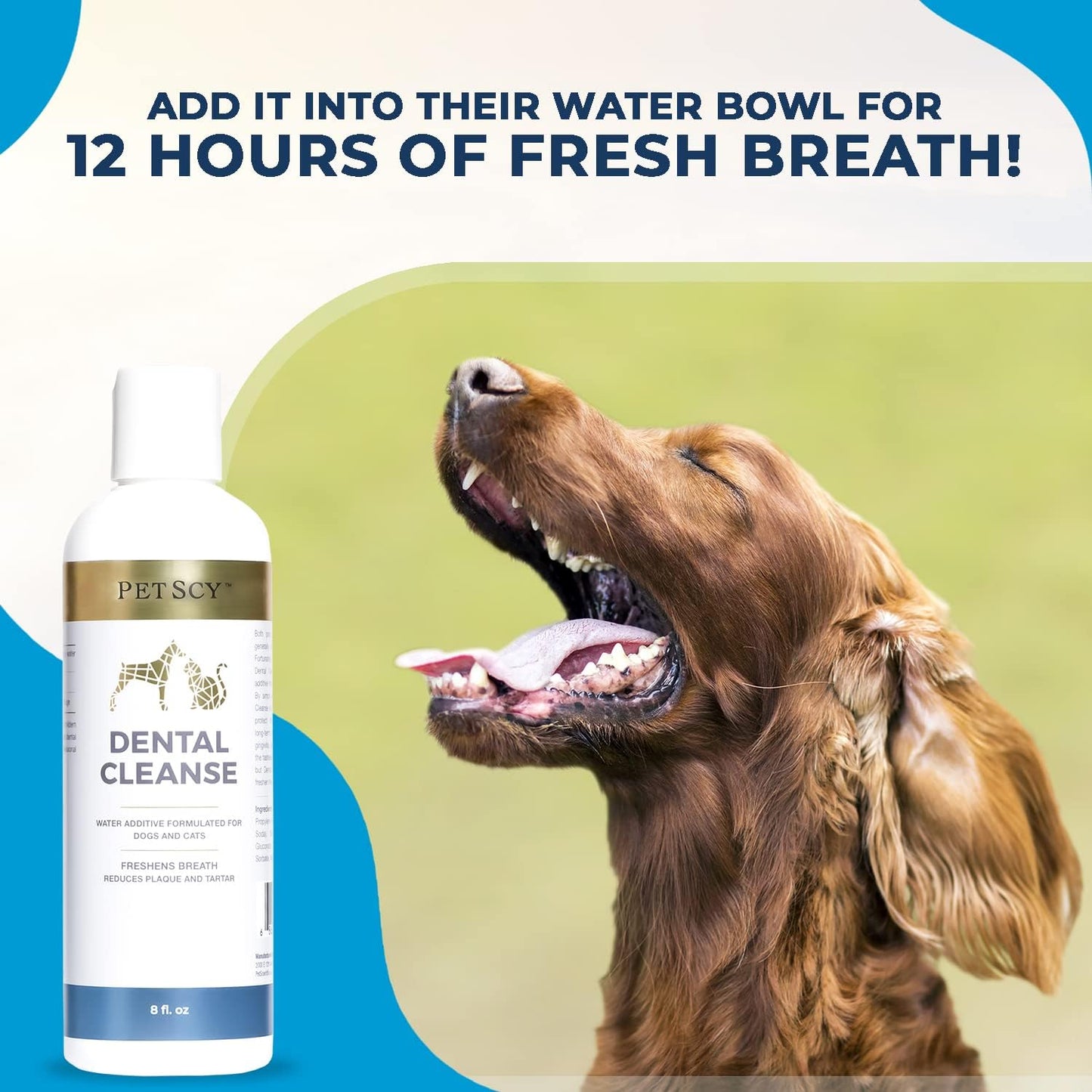 Petscy - Dental Cleanse, All-Natural Cat & Dog Tartar Remover for Teeth, Cat & Dog Water Additive for Dental Care, Suitable for All Ages, Breeds & Sizes, 8 Oz