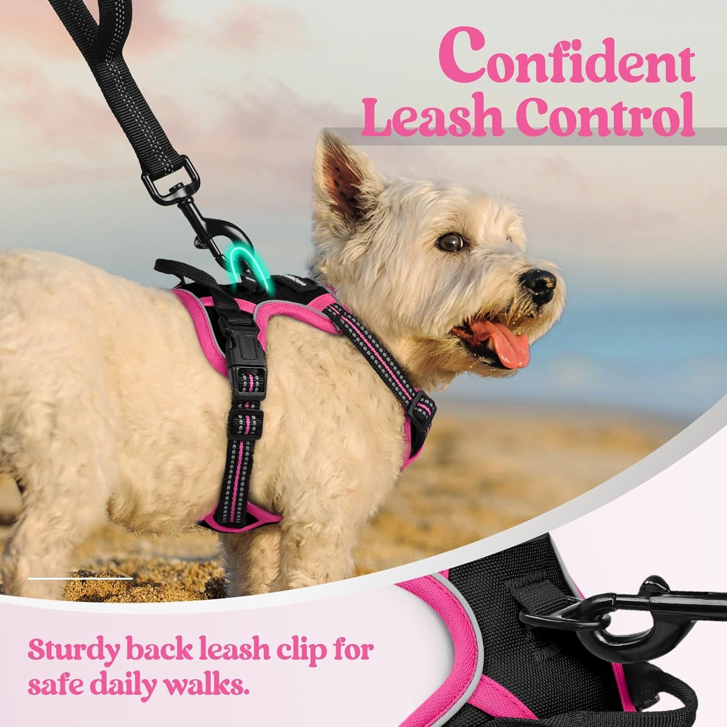 rabbitgoo Dog Harness No Pull with 2 Leash Clips, Adjustable Soft Padded, Reflective Oxford No Choke Pet Vest with Easy Control Handle for Large Dogs, Black & Hot Pink, XS