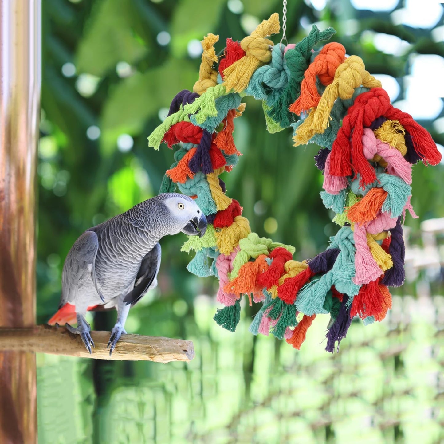 Bird Colorful Cotton Rope Hanging Ring Parrot Preening Grooming Chew Climb Biting Toy for African Grey Cockatoo Conure Parakeet