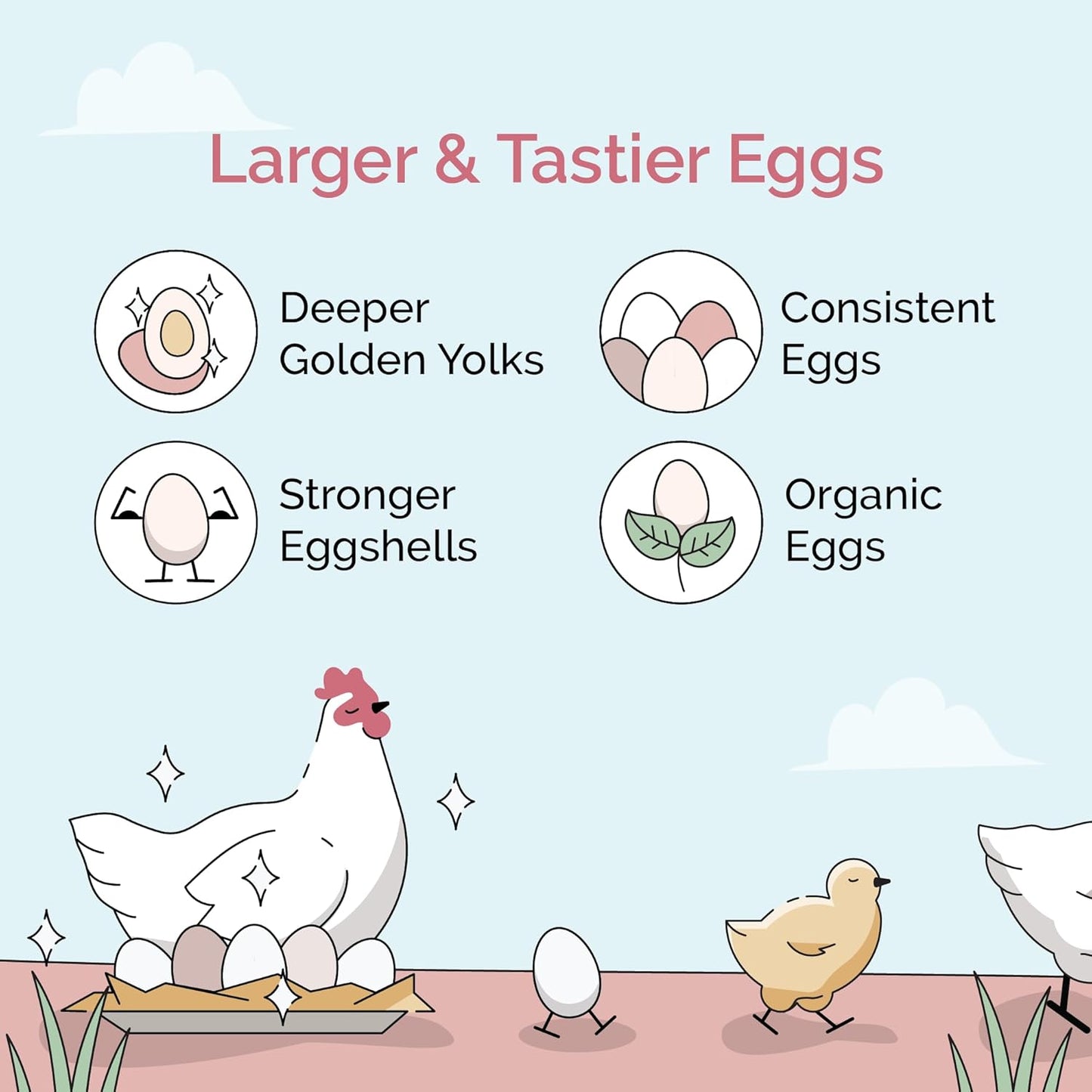 Organic Chicken Feed – Layer Whole Grain, Non-GMO, USA Grown, 16% Protein, Corn-Free, Soy-Free, Non-Medicated Feed for Chickens, 46 lbs