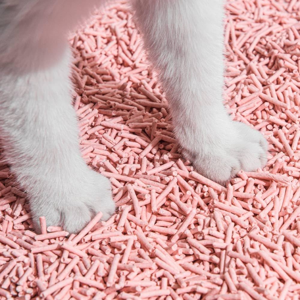 Tofu Cat Litter Natural Clumping Tofu Cat Litter, Fast Clumping and Easily Scoop-able 5.5lb/88oz 5 Scents - Peach, 6 Pack