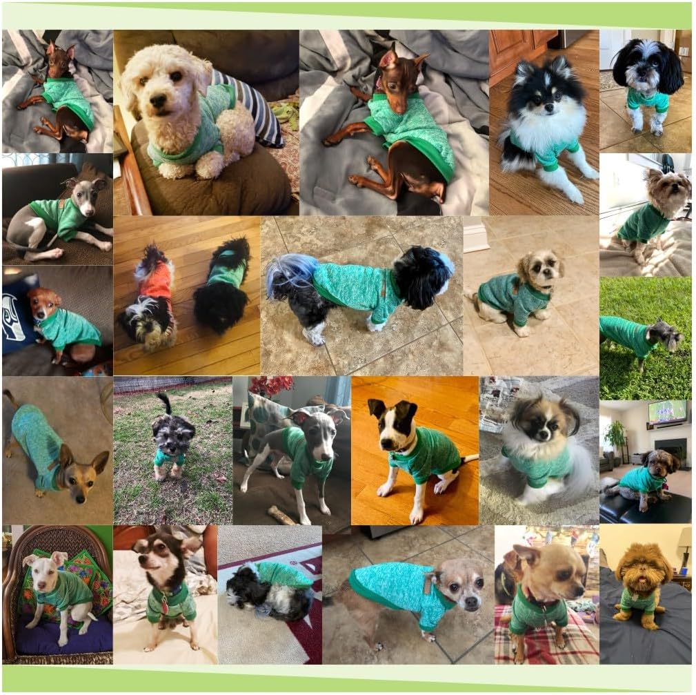 Jecikelon Dog Clothes Dogs Sweater Soft Puppies Clothing Winter Puppy Sweaters Warm Outfit for Dogs Small XXS XS Cat Apparel (Large, Green)