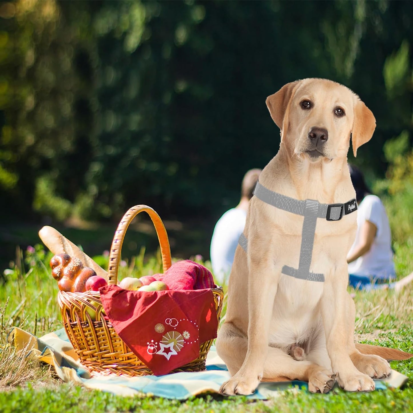 PUPTECK No Pull Dog Harness Soft Adjustable Basic Nylon Step in Puppy Vest Outdoor Walking with ID Tag, Grey, L