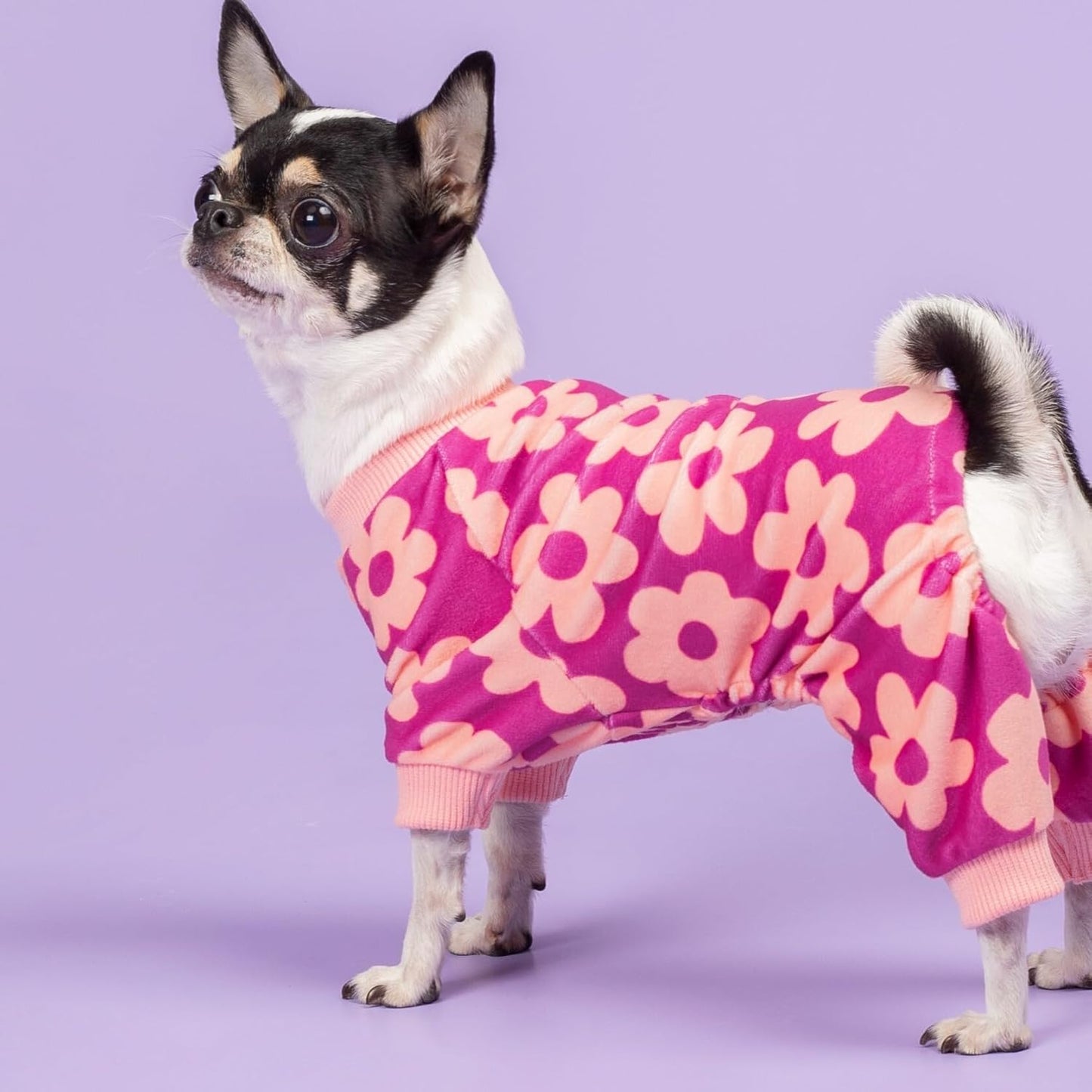 Fitwarm Flower Fleece Dog Pajamas, Warm Winter Dog Clothes for Small Dogs Girl, Cozy Pet Onesie with Feet, Pink, Large