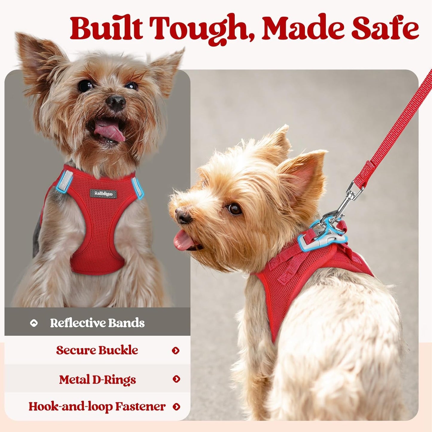 rabbitgoo Dog Harness Small Sized and Leash Set, Step in Soft Light Puppy Vest, Breathable Mesh Pet Harness, Reflective for Safe Easy Walking, Red M