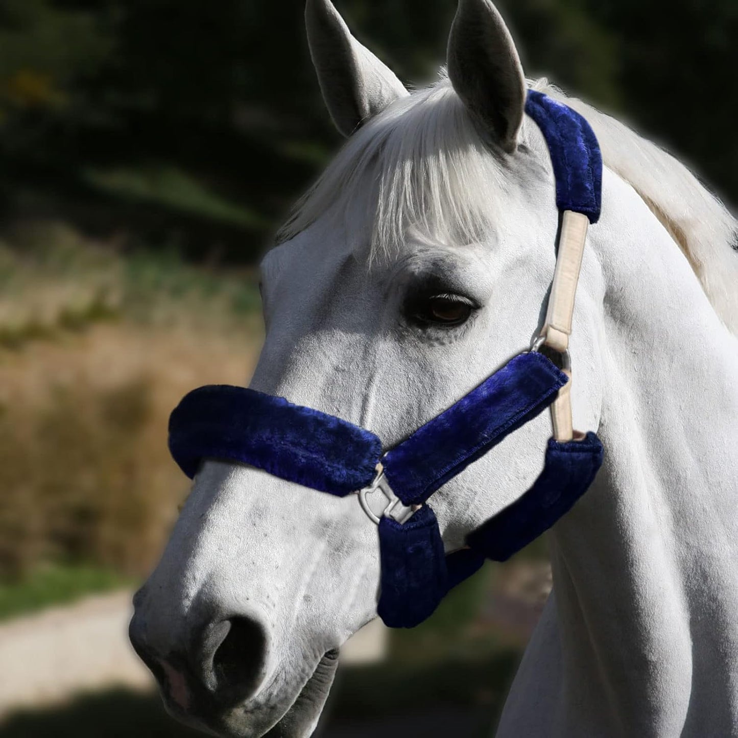 Harrison Howard Horse Halter Fleece Cover Set 9 Pieces