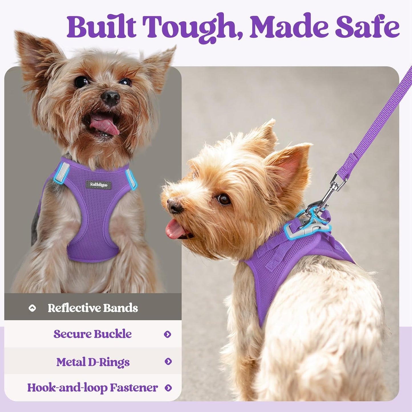 rabbitgoo Dog Harness Small Sized and Leash Set, Step in Soft Light Puppy Vest, Breathable Mesh Pet Harness, Reflective for Safe Outdoor Walking, Purple XS