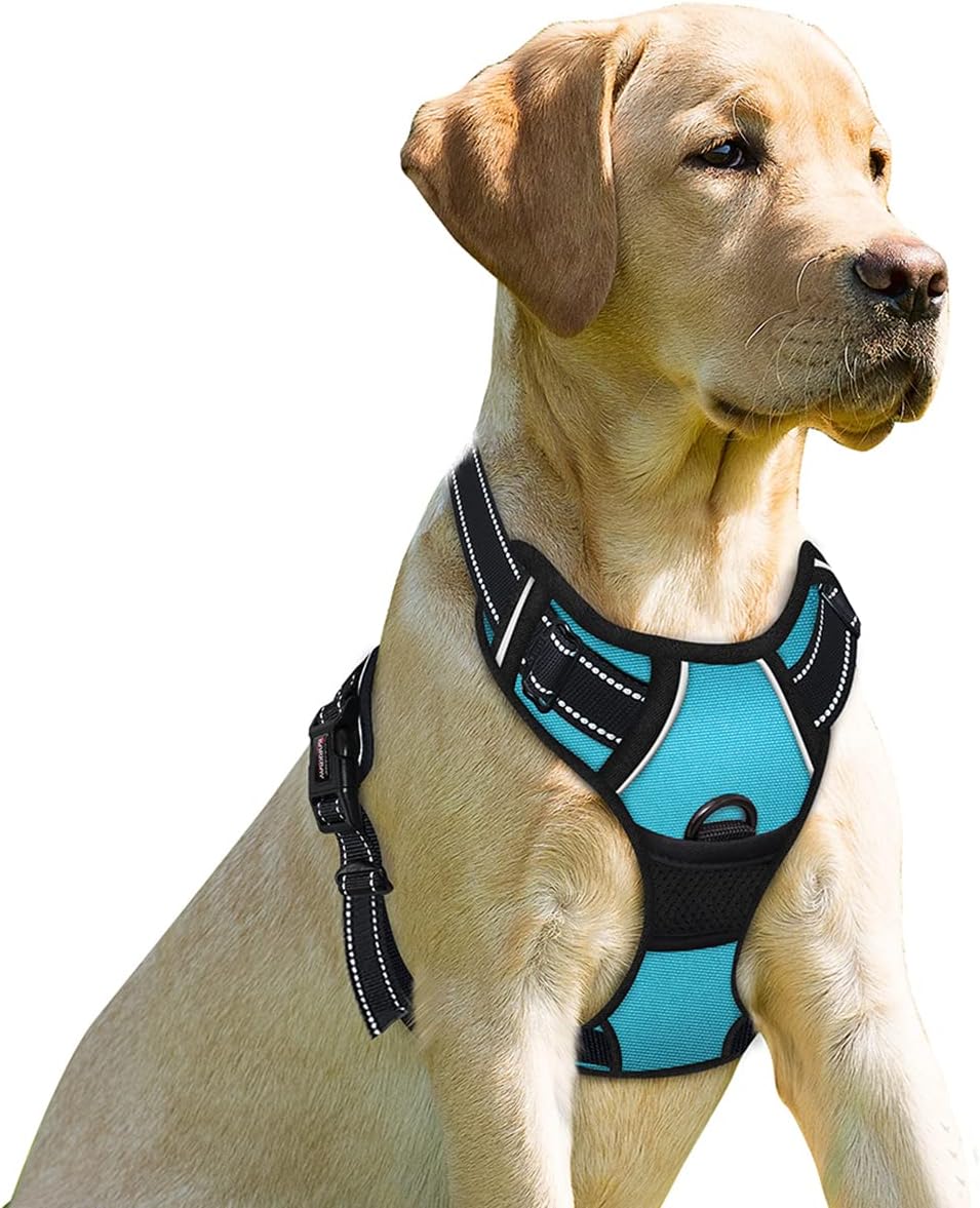 BARKBAY No Pull Dog Harness Front Clip Heavy Duty Reflective Easy Control Handle for Large Dog Walking(Blue,L)