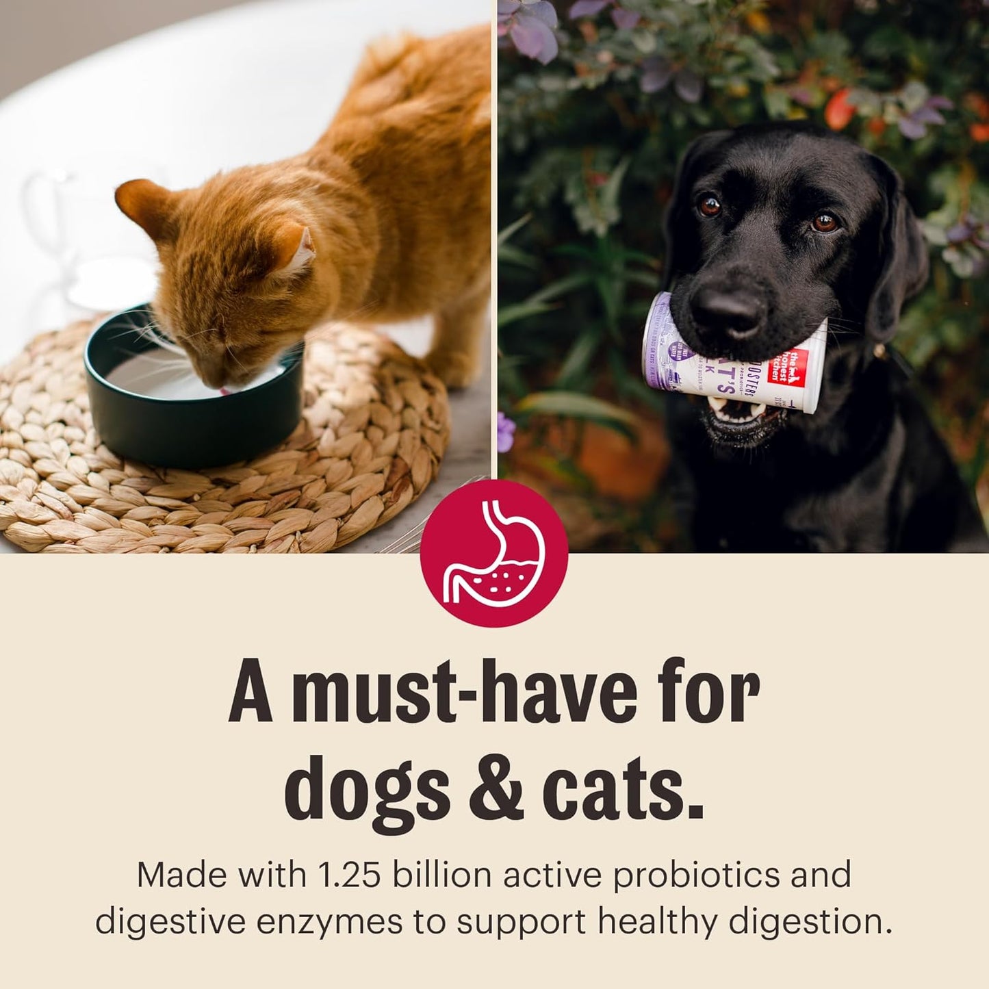 The Honest Kitchen Human Grade Instant Goat's Milk with Probiotics for Dogs and Cats, 5.2 Ounces