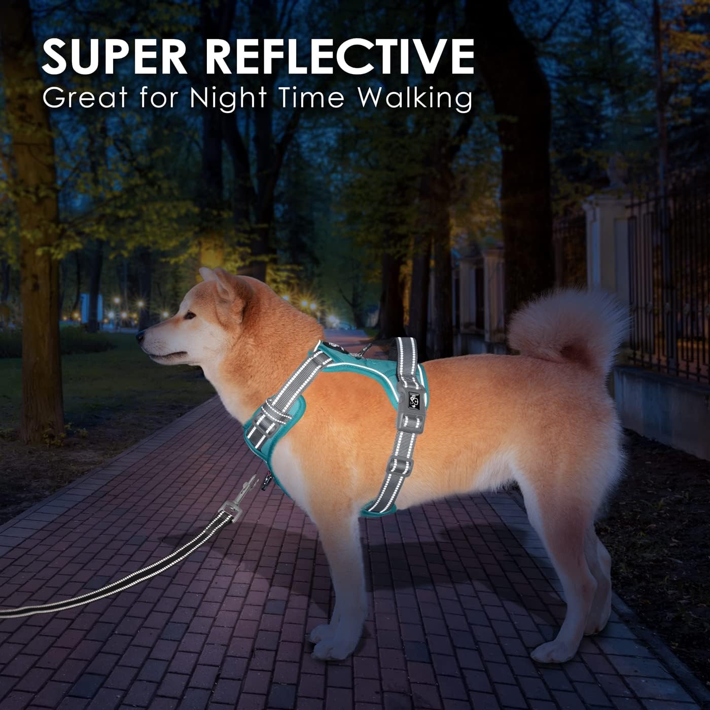 PHOEPET No Pull Dog Harness, Unique Colors Reflective Adjustable Dog Vest, with Soft Training Handle Metal Clips for Small Medium Large Dogs (Mint Green Base & Grey Straps,XL)