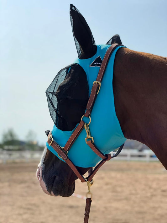 Horse Fly Mask Super Comfort Elasticity Horse Fly Mask with Ears We Only Make Products That Horses Like… (Pacific Blue, L)