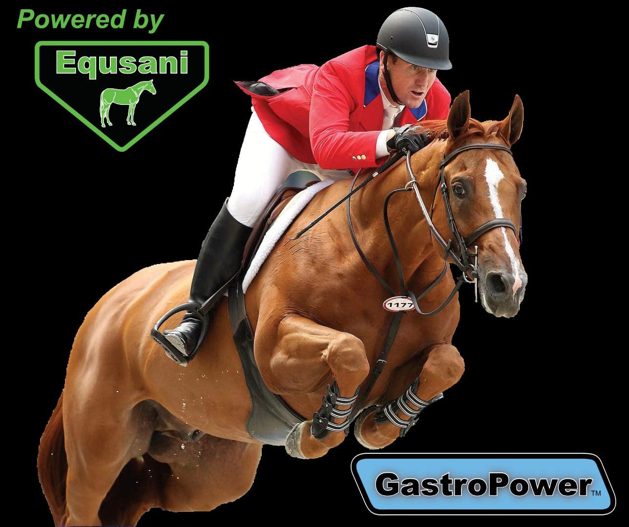 GastroPower Digestible Free Fatty Acid Feed Concentrate for Horses