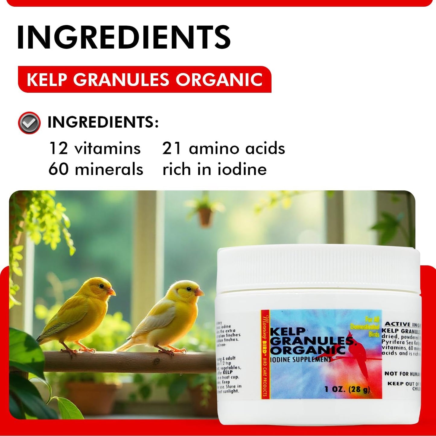 Morning Bird Kelp Granules 1 Oz – Iodine Supplement for Birds – Supports Feather Growth, Molting & Metabolism – Rich in Amino Acids, Trace Minerals & Natural Vitamins – Clean Nutrition for All Birds