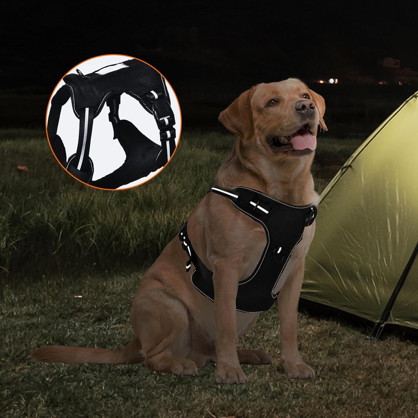 Amazon Basics No Pull Dog Harness, Adjustable Front Clip, Tactical Vest, X-Large, Black