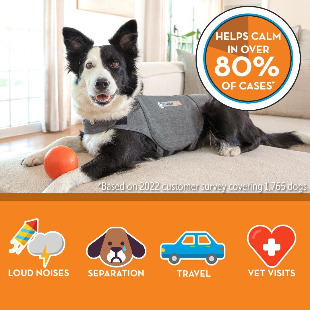 ThunderShirt for Dogs, X Small, Heather Gray Classic - Dog Anxiety Relief Calming Vest