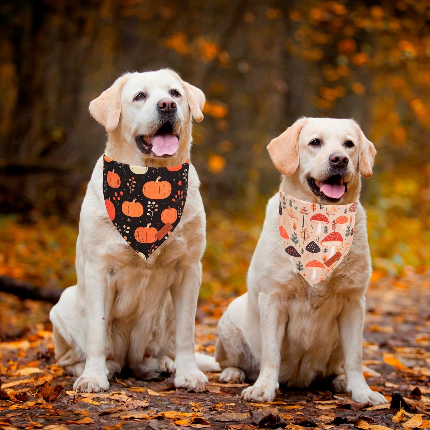 PTDECOR Fall Dog Bandana, Pumpkin Mushroom Design Scarf Reversible Holiday Dog Scarf, Triangle Thanksgiving Bandanas for Large X-Large Dogs (X-Large)