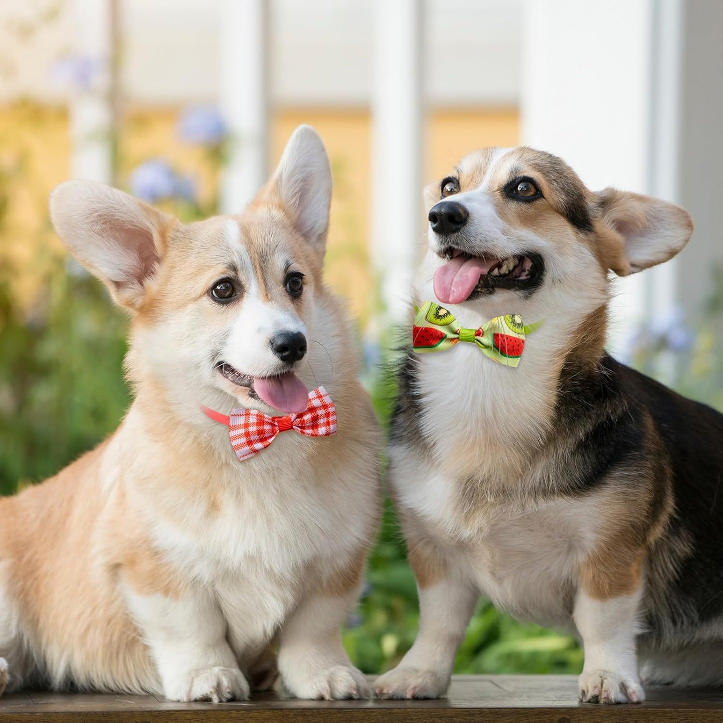 Reginary 50 Pieces Dog Bow Ties Pet Collar Bow Puppy Collar Attachment with Rubber Bands for Small Medium Cat Pet Grooming Charms Accessories Wedding Birthday Occasion(Fresh Fruit Style)