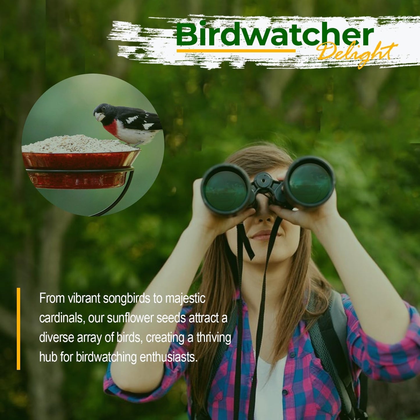 Wildlife Sunflower Hearts & Chips for Bird Feeding and Wildlife Bird attracting, Non-GMO and USA Grown, 25 lbs