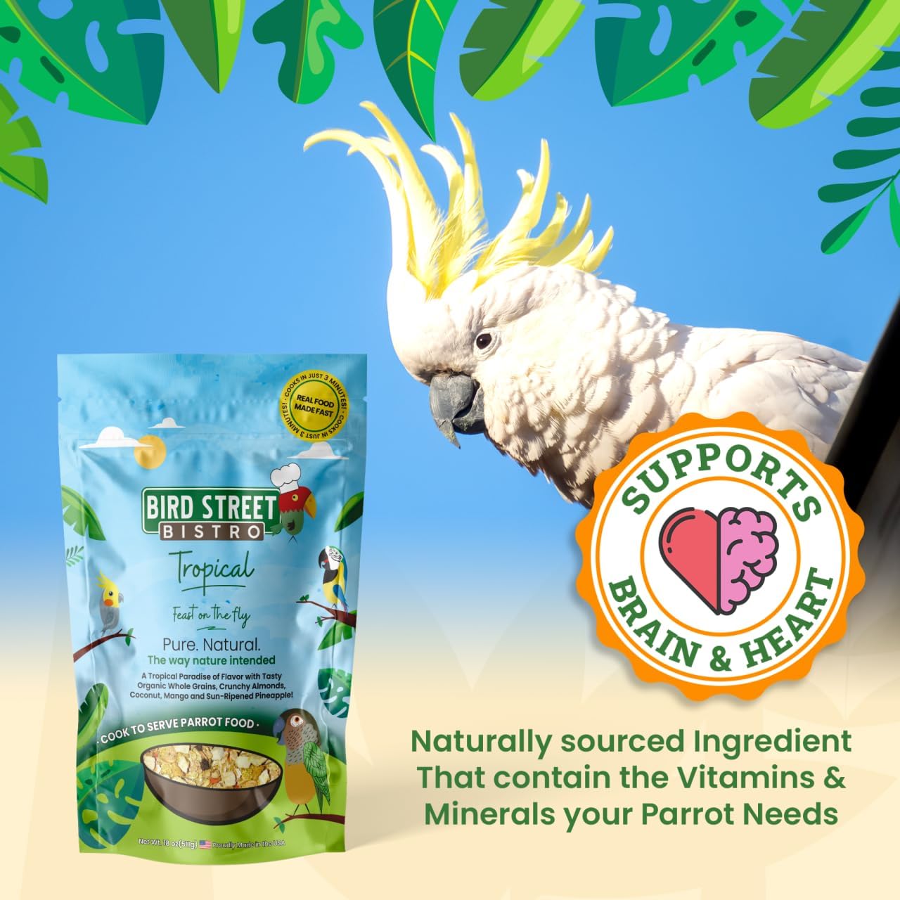 Parrot Food - Parakeet- Cockatiel Food - Bird Food - Cooks in 3-15 min w/Natural & Organic Grains - Legumes - Non-GMO Fruits, Vegetables, & Healthy Spices