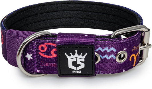 TSPRO Tactical Dog Collar 1.25 Inch Wide Thick Dog Collars with Heavy Duty Metal Buckle, Durable, Strong, Adjustable for Small Dogs (Constellation Purple S)