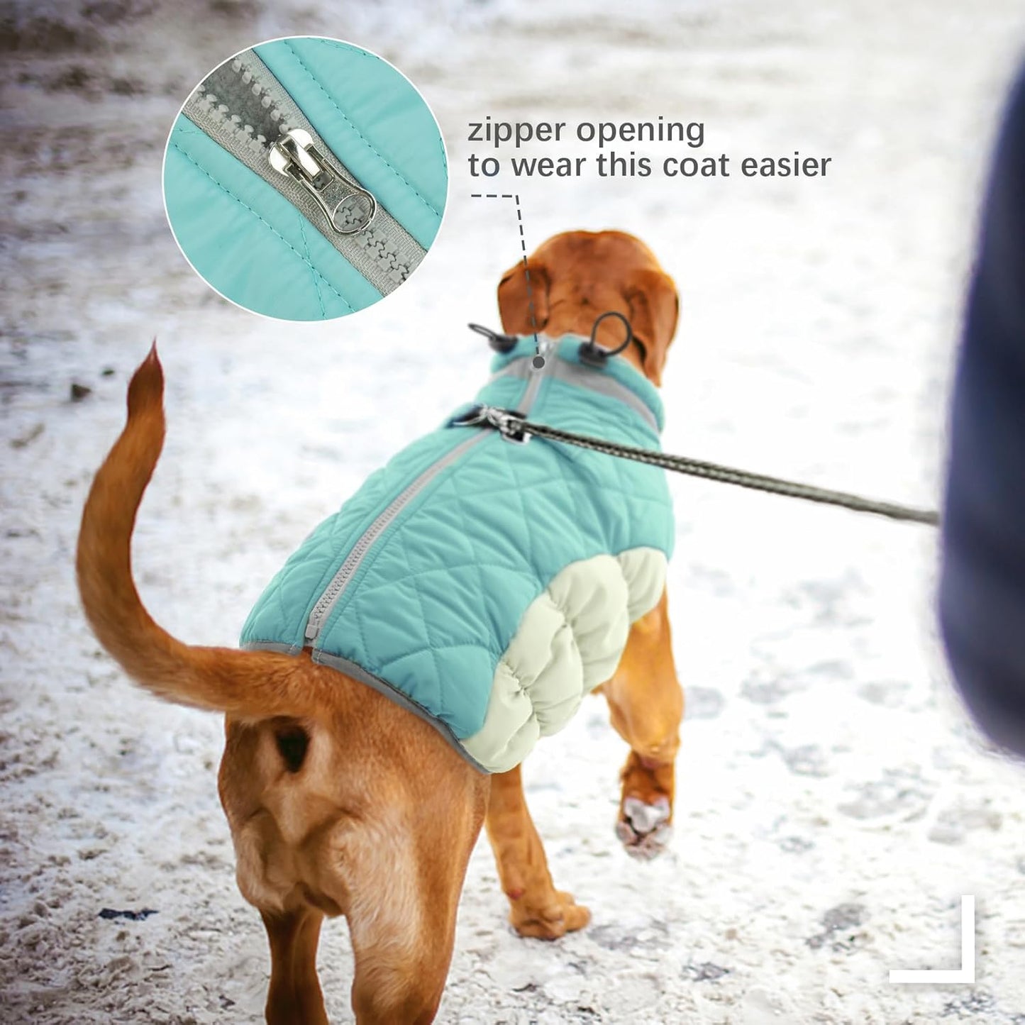 FUAMEY Dog Coat for Medium Dogs,Waterproof Dog Winter Jacket with Harness Built in Puppy Cold Weather Coats Reflective Pet Vest with Zipper Warm Fleece Dogs Snowsuit Windproof Mint Green M
