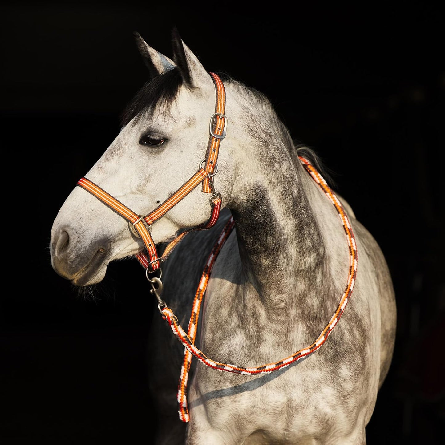 HORZE Adepto Adjustable Horse Halter | Soft, Durable Polyester - Coral Gold - Horse