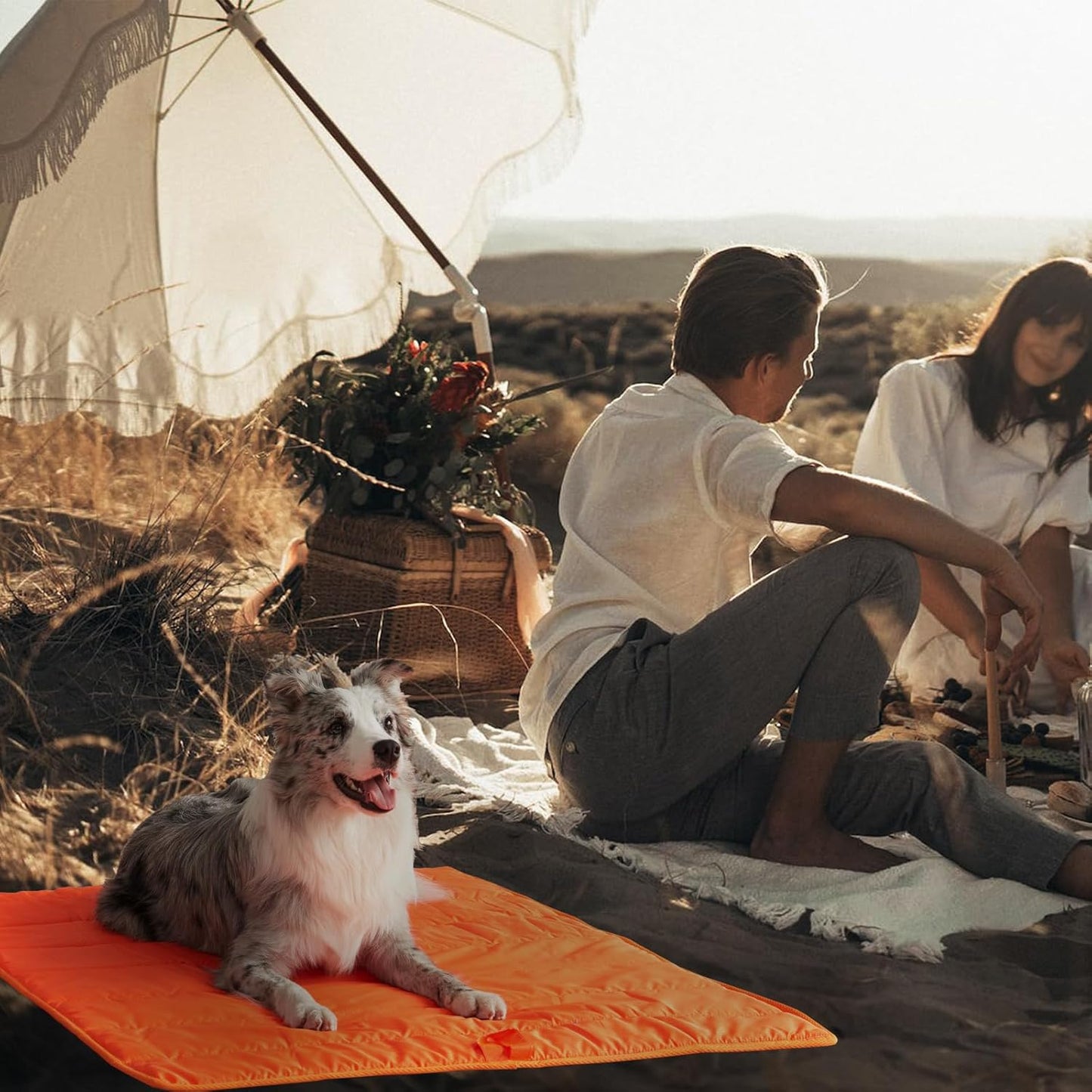 BDEUS 51x35In Extra Large Size Outdoor Dog Bed, Waterproof & Portable Camping Travel Pet Mat, Easy to Clean, Washable Odor Resistant Pet Cooling Pad (Orange)