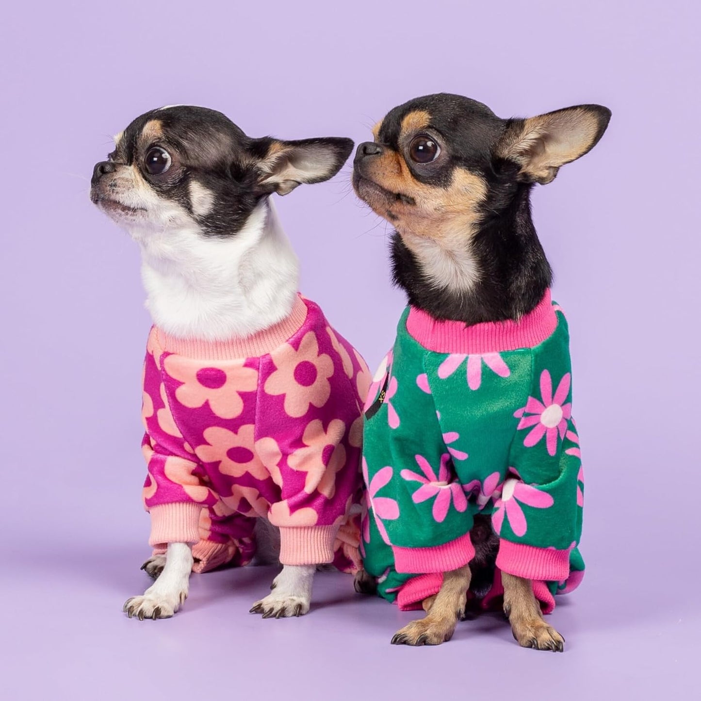 Fitwarm Flower Fleece Dog Pajamas, Warm Winter Dog Clothes for Small Dogs Girl, Cozy Pet Onesie with Feet, Pink, XS