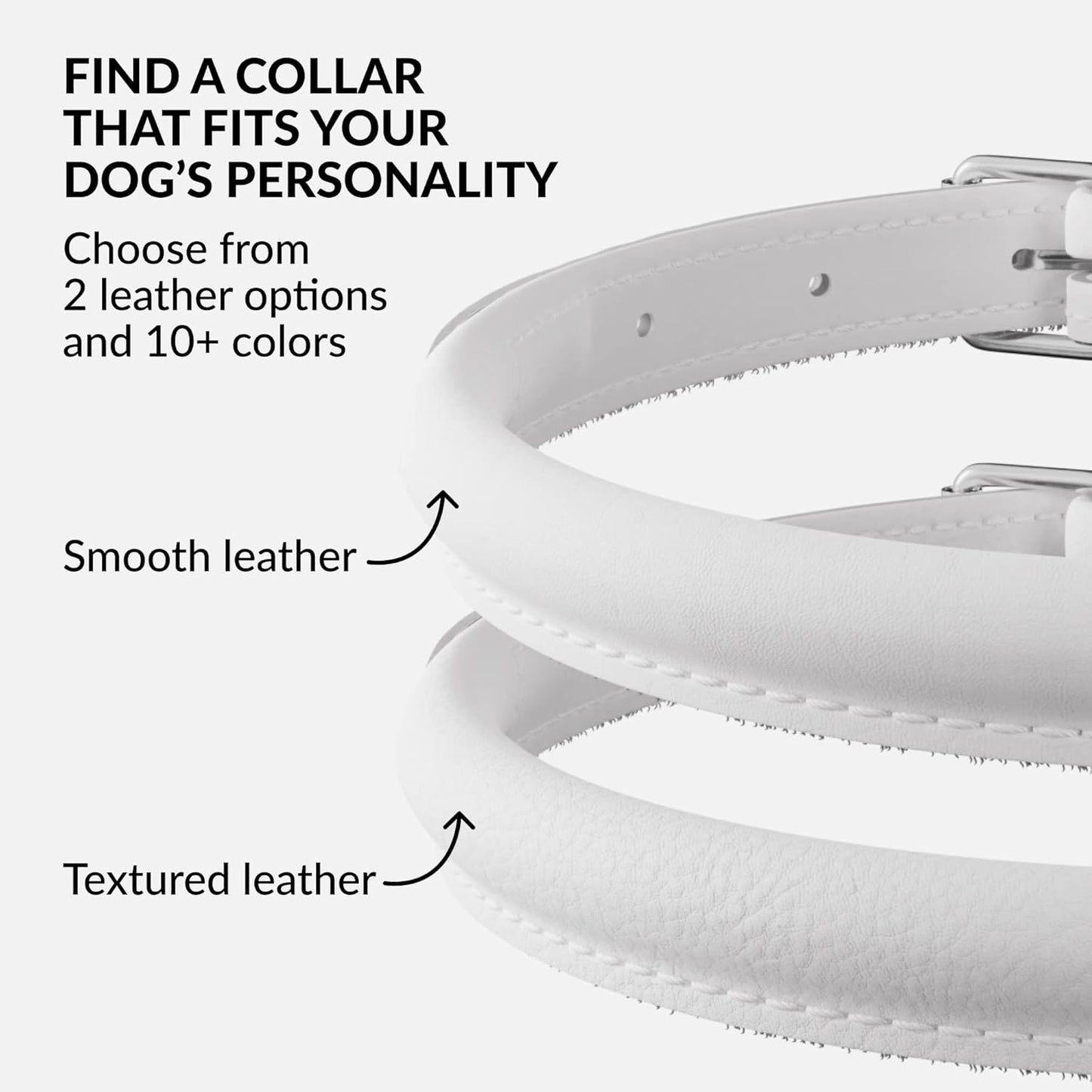 CollarDirect Rolled Leather Dog Collar, Soft Padded Round Puppy Collar, Handmade Genuine Leather Collar Dog Small Large Cat Collars 13 Colors (6-7 Inch, White Smooth)
