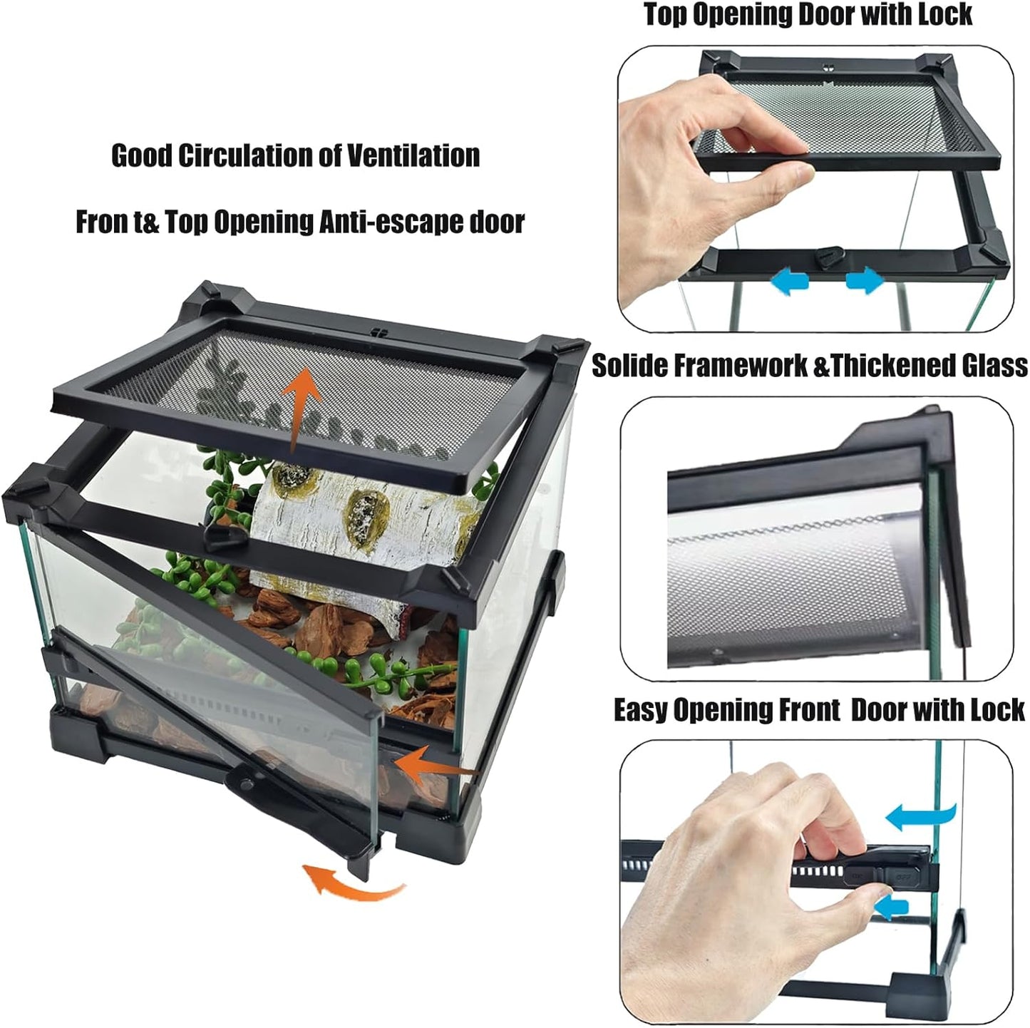 Woyrise Reptile Glass Terrarium Tank 8"x8"x5.7", Front & Top Opening Door Full View Visually Appealing Mini Reptiles or Amphibians Habitat, Stackable Enclousure for Small Reptiles