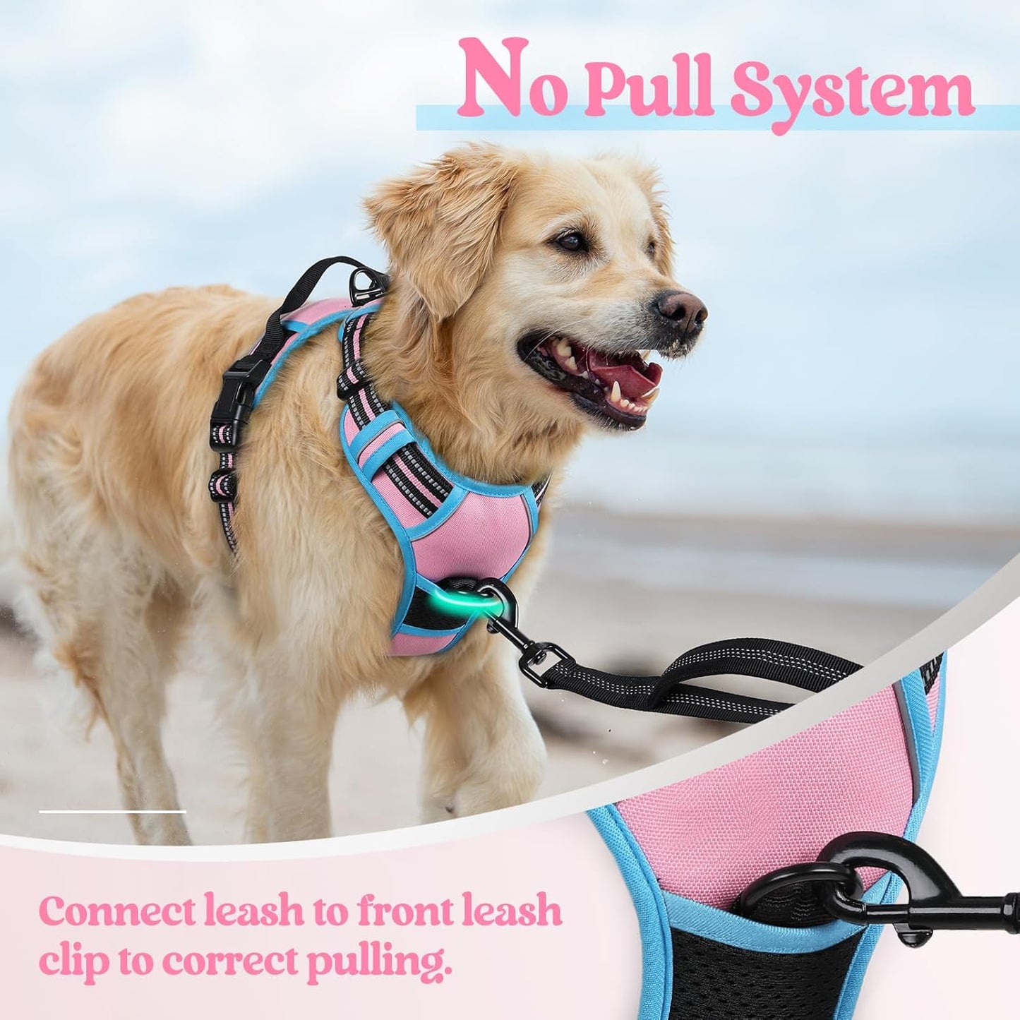 rabbitgoo Dog Harness No Pull with 2 Leash Clips, Adjustable Soft Padded, Reflective Oxford No Choke Pet Vest with Easy Control Handle for Medium Sized Dogs, Pink & Blue, M