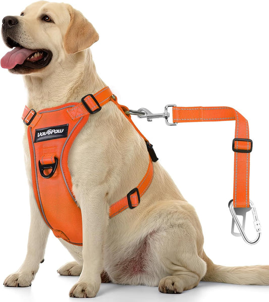 Dog Seat Belt Harness for Car, Dog Car Harness Adjustable Mesh Breathable & Dogs Seatbelt Safety Tether with Elastic Bungee for Small Medium Large Pets(Orange, L)
