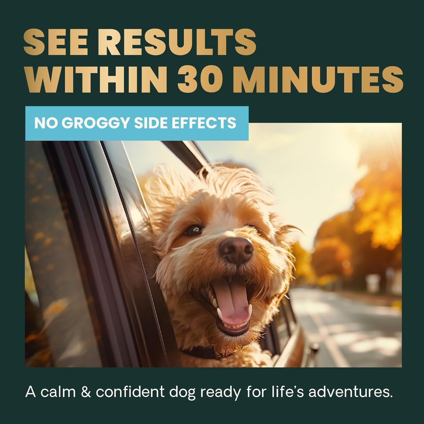 VetriScience Calm & Confident Chews, Composure Clinically Tested Calming Supplement for Dogs, Reduce Stress & Fear, Ideal for Thunderstorms, Fireworks & Travel, Chicken, 120 Count - New Look