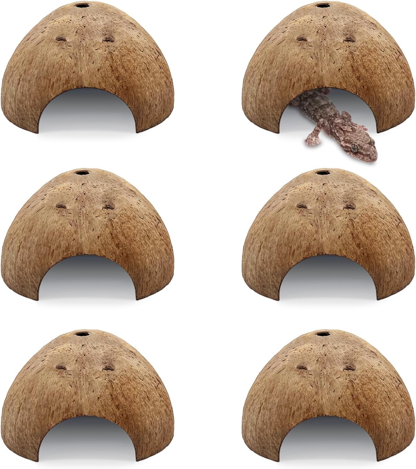 PINVNBY 6 PCS Natural Coconut Reptile Hideouts Lizard, Coco Hut Hermit Crab Hut Aquarium Fish Hide Cave for Small Reptile Crested Gecko Leopard Gecko Spider Snail Climber Toys