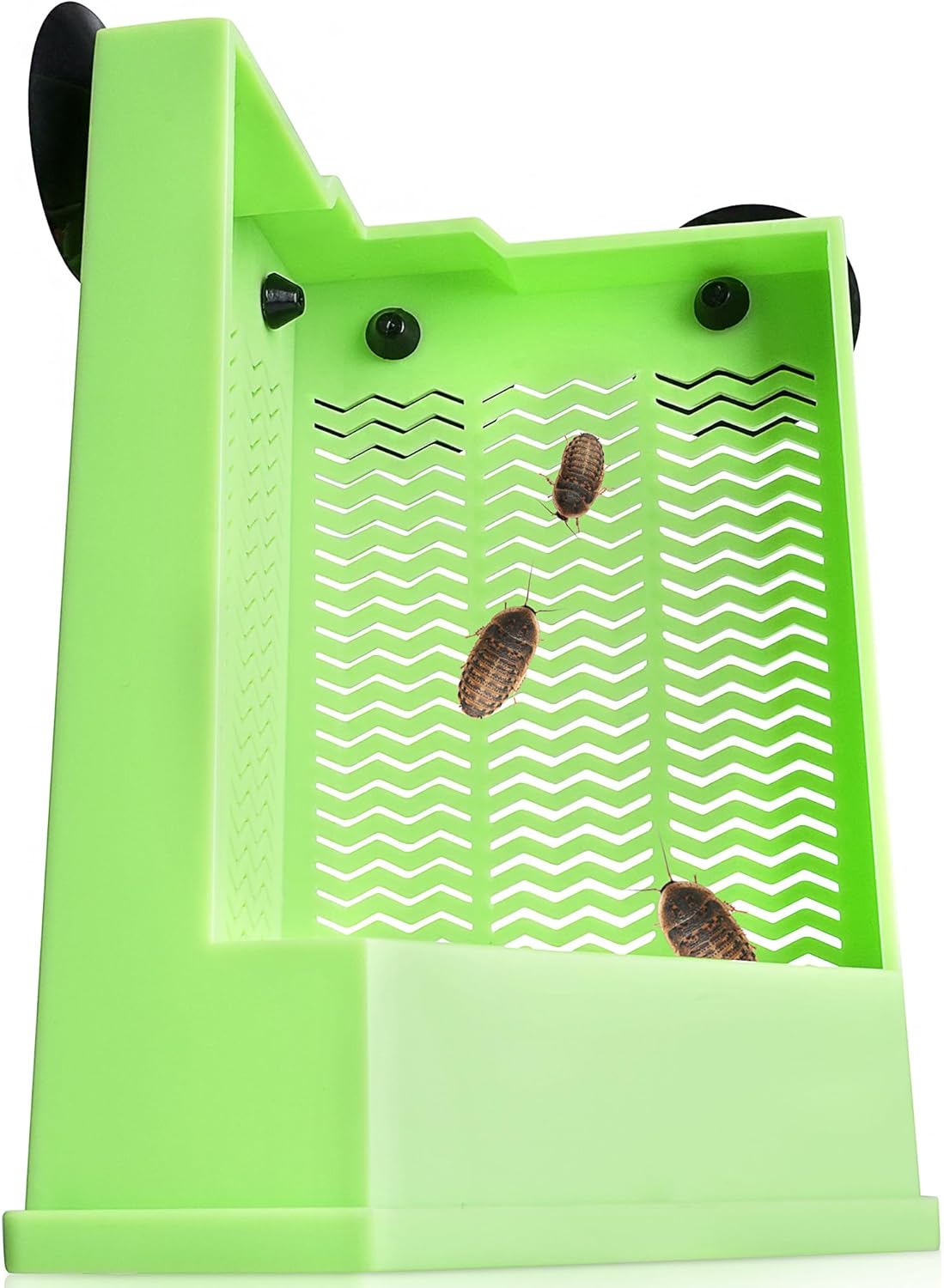 Reptile Corner Hunting Bowl - Glass Mount Insect Feeding Box for Reptile with Suction Cup which is Super Tight, Green, 6.29inch - M Size