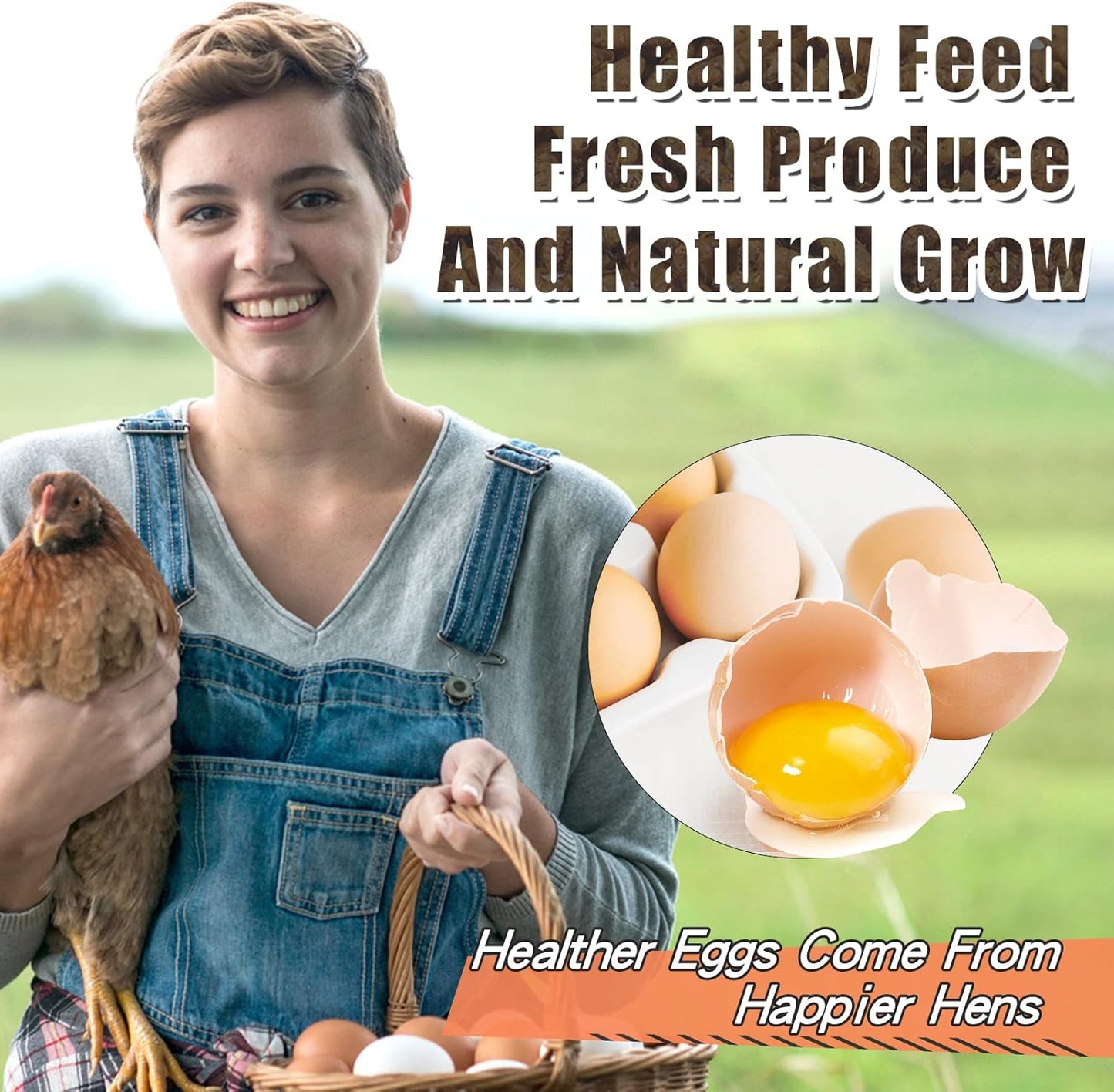 Dried Black Soldier Fly Larvae, 85X More Calcium Than Mealworms High-Protein BSF Larvae Chicken Treats Non-GMO BSFL for Chickens, Hens, Ducks, Wild Birds 5LBS