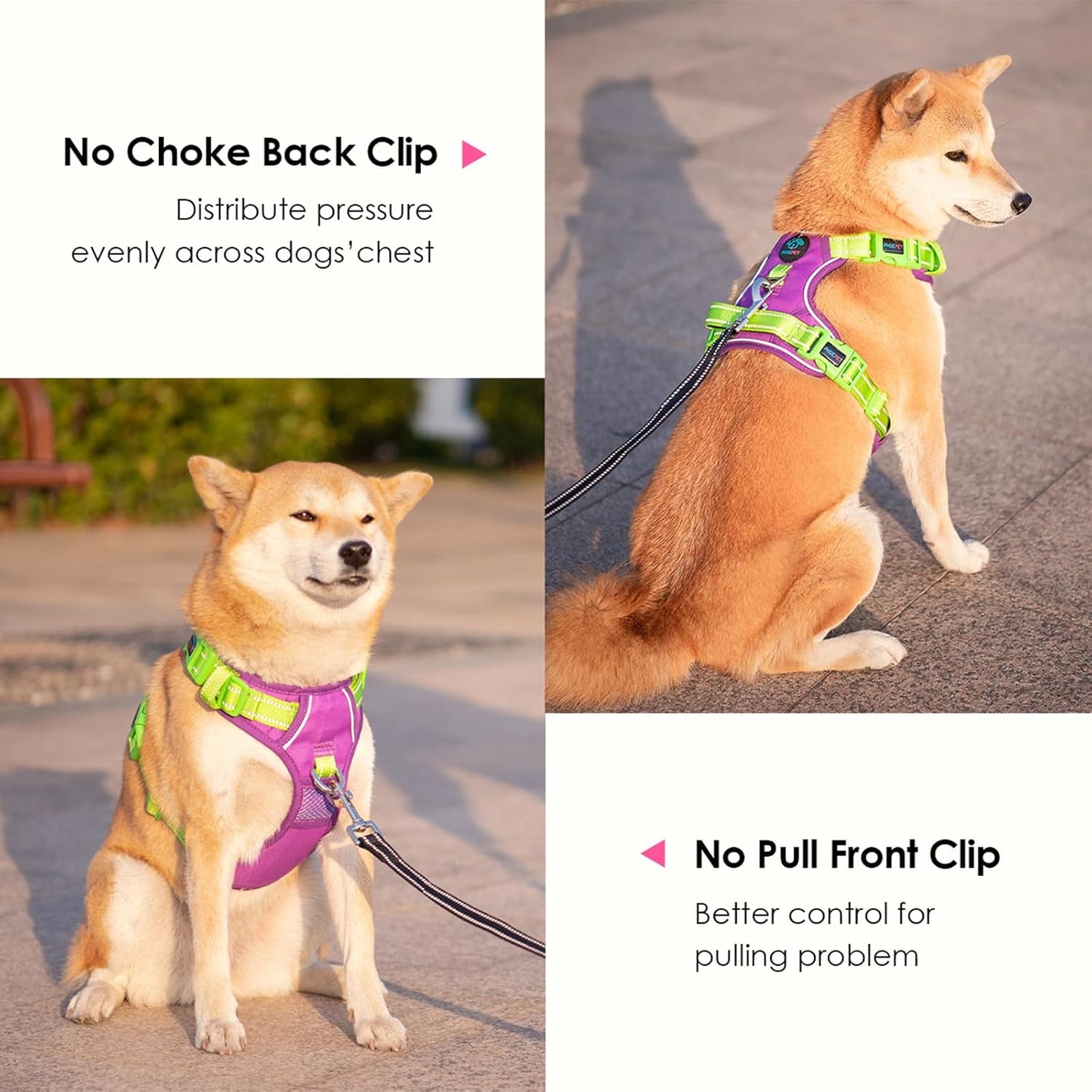 PHOEPET No Pull Dog Harness, Unique Colors Reflective Adjustable Dog Vest, with Soft Training Handle Metal Clips for Small Medium Large Dogs (Purple Base & Green Straps,L)