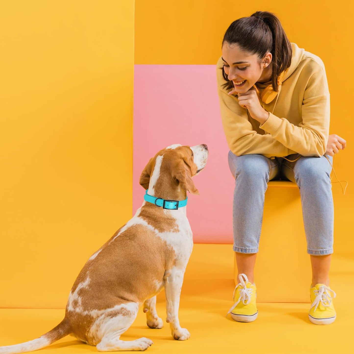 Dogline Biothane Waterproof Dog Collar Strong Coated Nylon Webbing with Black Hardware Odor- Proof for Easy Care Easy to Clean High Performance Fits Small Medium or Large Dogs, Sky Blue