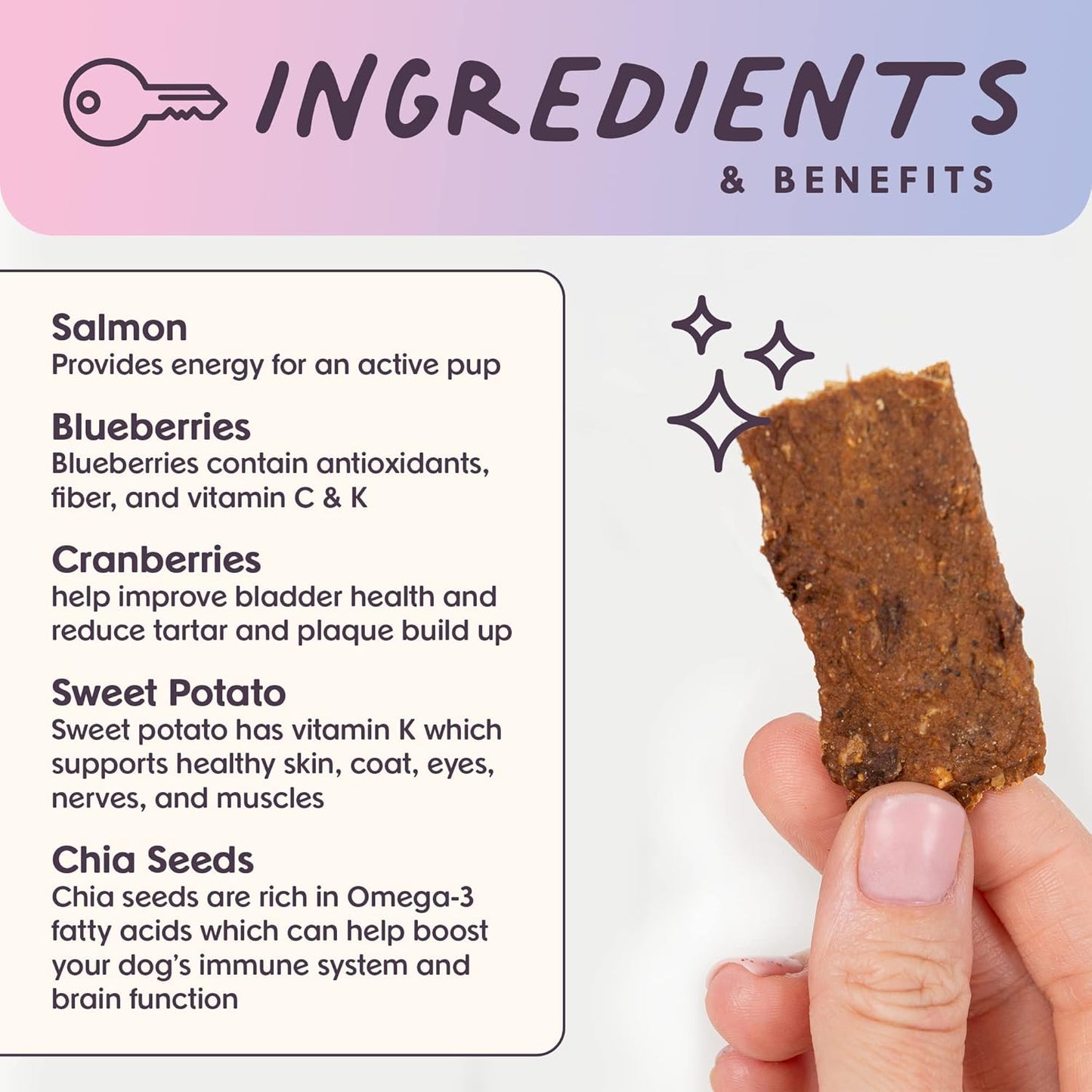 Bundle x Joy Ride & Vibe Dog Treats Salmon Jerky Snack Bars, 16 oz Bag, Puppy Training Treats, Natural Superfood Grain Free, Wild Caught Salmon, Superfoods, Corn, Poultry & Soy Free